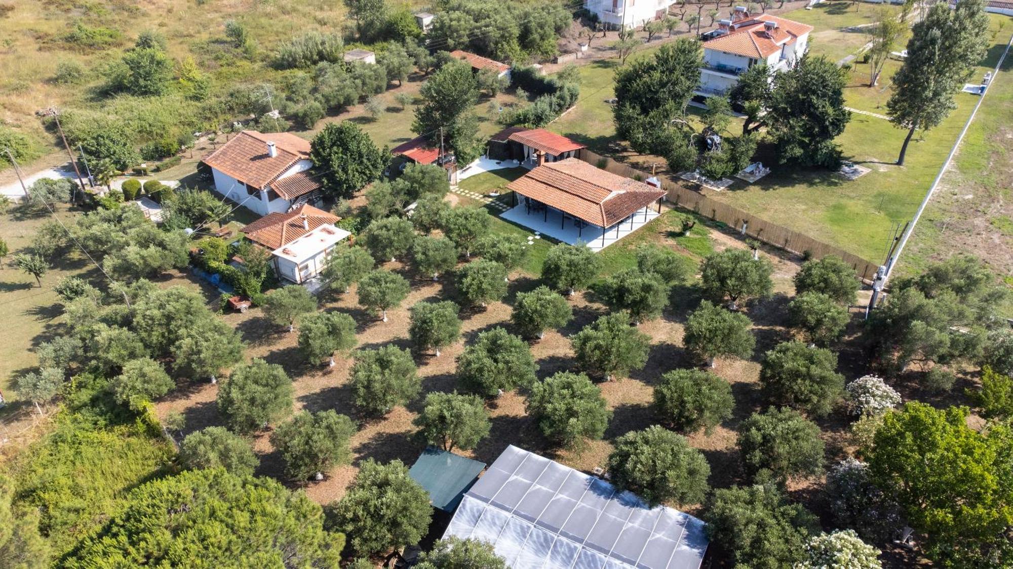 Casa Alelia Lagonisi Όρμος Παναγιάς Εξωτερικό φωτογραφία