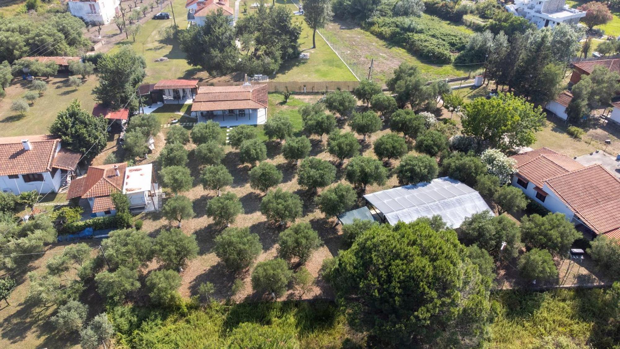 Casa Alelia Lagonisi Όρμος Παναγιάς Εξωτερικό φωτογραφία