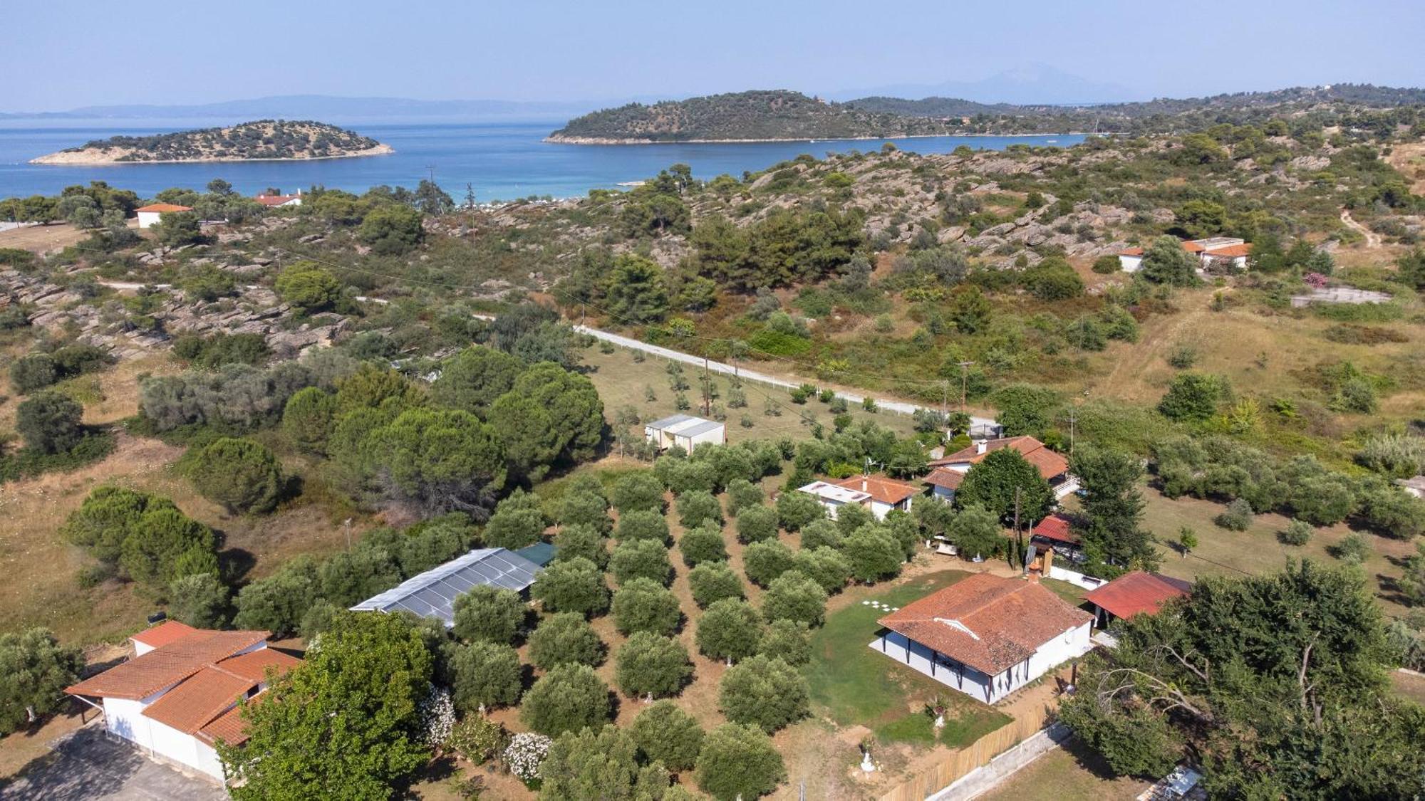 Casa Alelia Lagonisi Όρμος Παναγιάς Εξωτερικό φωτογραφία